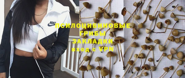 СК Балахна
