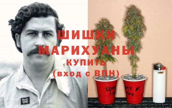 прущие крисы Балабаново